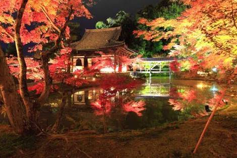 夢京都高台寺店です