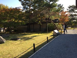 11月22日 京都 着物レンタル 夢京都高台寺店