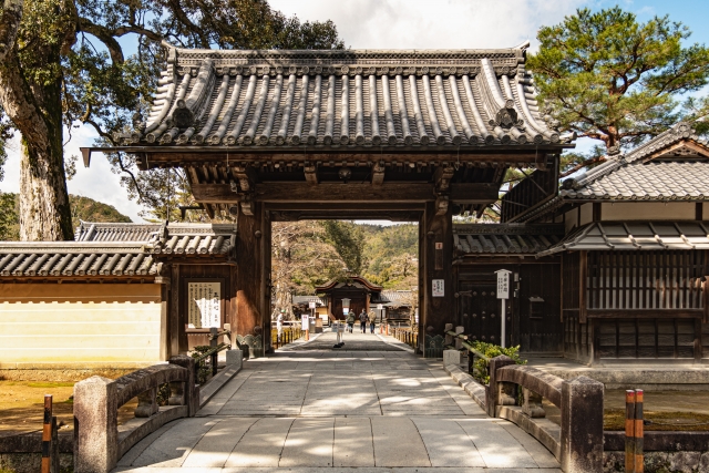 着物でオシャレ気分が上がる金閣寺をご紹介【きものレンタル夢京都祇園店】