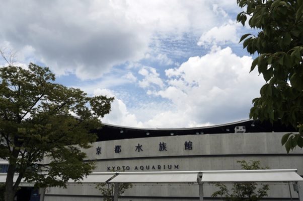 雨の日でも大丈夫！着物で訪れたい京都水族館の魅力