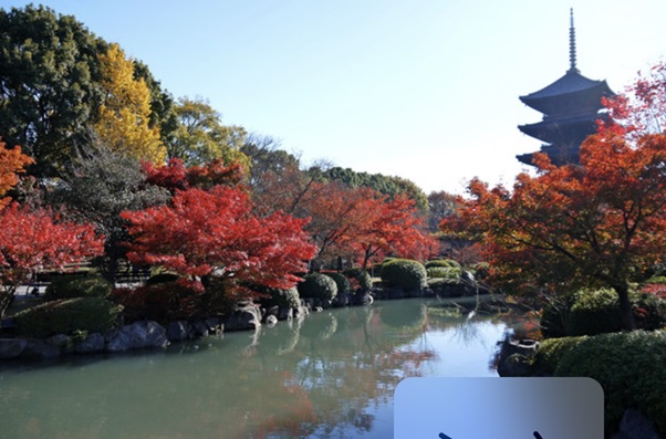 【着物で拝観】東寺の五重塔は写真映え抜群！